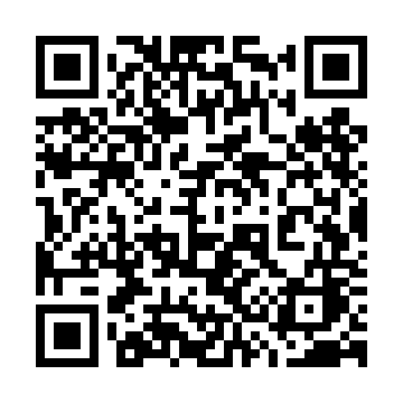 QR code for 737TOC