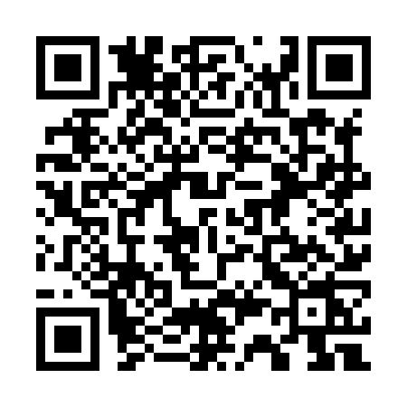 QR code for 737X