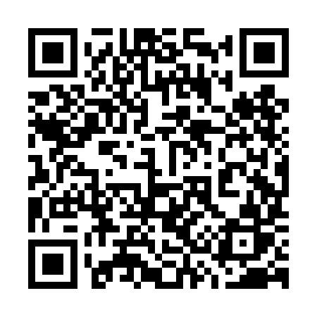 QR code for 738DIR