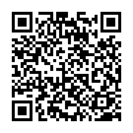 QR code for 738LSP