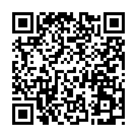 QR code for 739IN