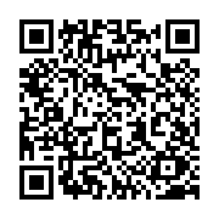 QR code for 739P
