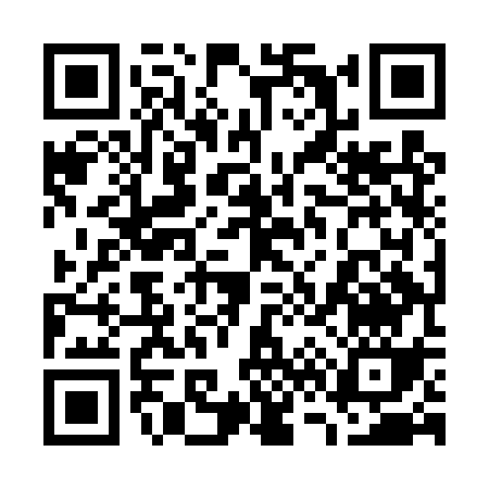 QR code for 768DS