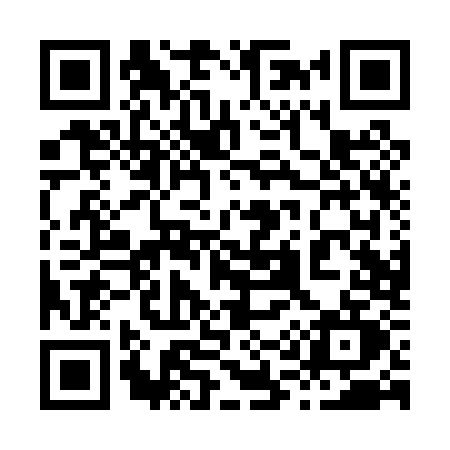 QR code for 810P