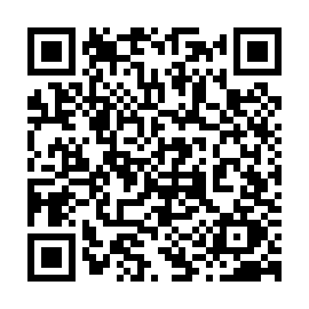 QR code for 817P