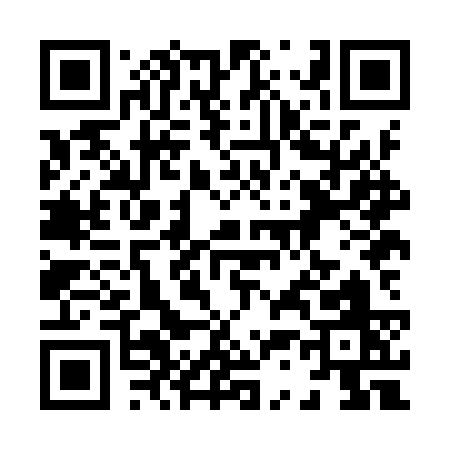 QR code for 838IS