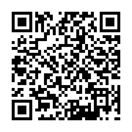 QR code for 838IT