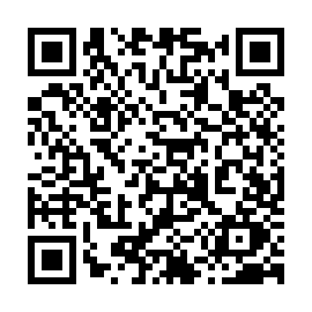 QR code for 851P