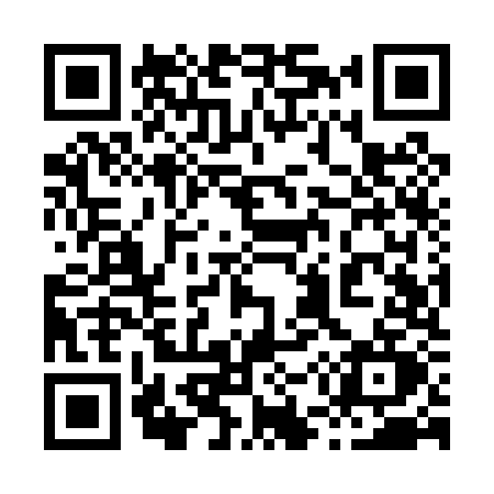 QR code for 859P