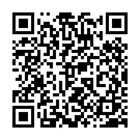 QR code for 863PGS