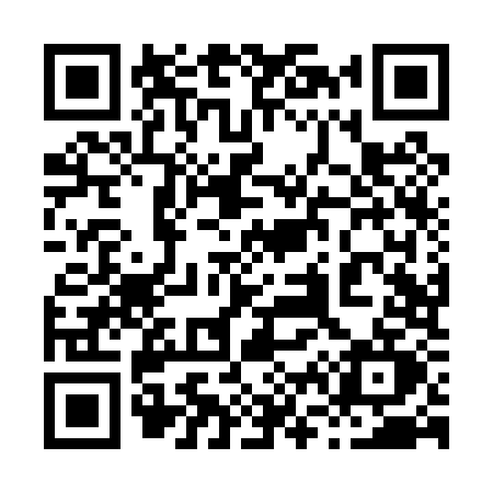 QR code for 868P