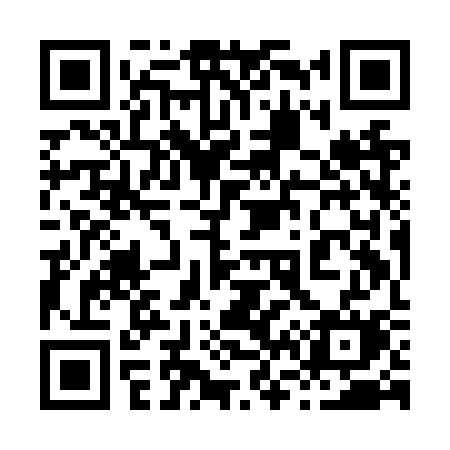 QR code for 869NSM