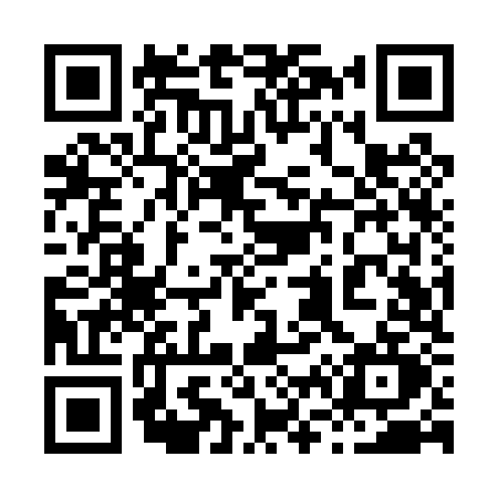 QR code for 869P