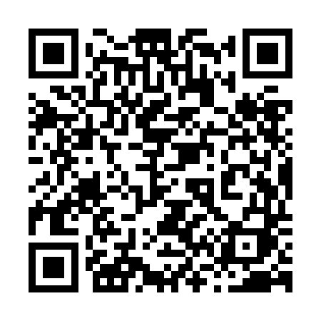 QR code for 869ZDI