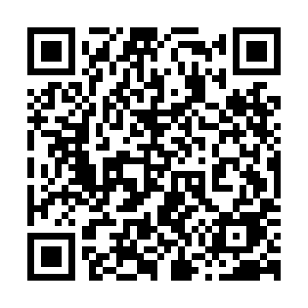 QR code for 875LIE