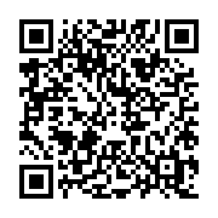 QR code for 905PHL