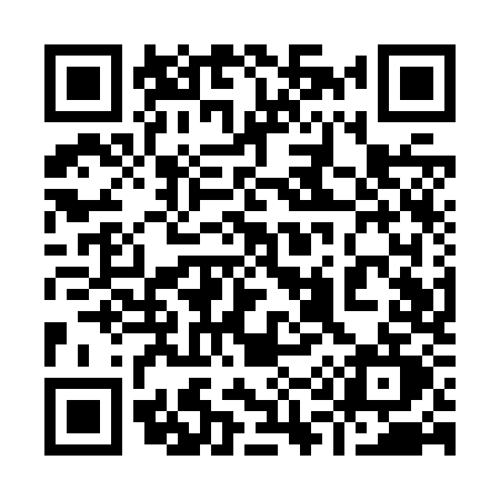 QR code for 911Z
