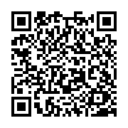 QR code for 919C