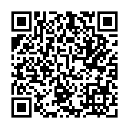 QR code for 919DP