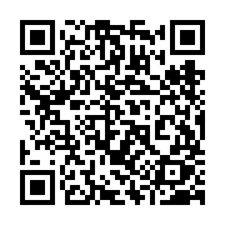 QR code for 919FMX