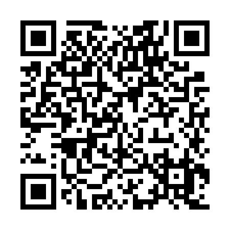 QR code for 919FZ
