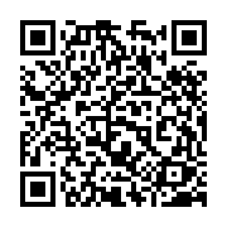 QR code for 919HFX