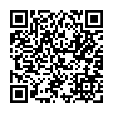 QR code for 919IN