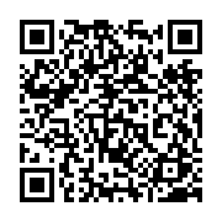 QR code for 919NBS