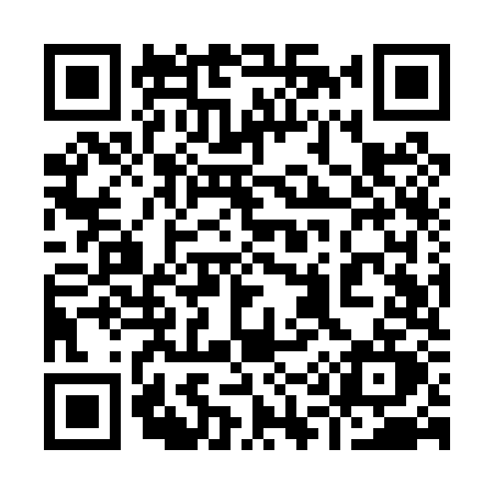 QR code for 919P