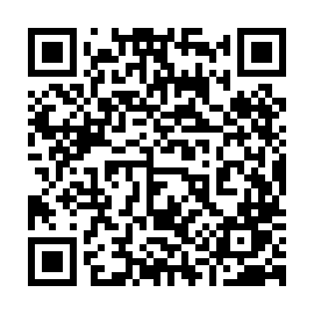 QR code for 919PLT