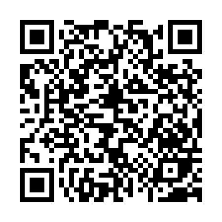 QR code for 919PP