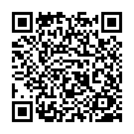 QR code for 919Q