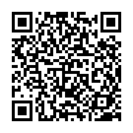 QR code for 919QIK