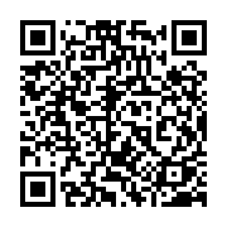 QR code for 919QQQ