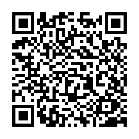 QR code for 919S
