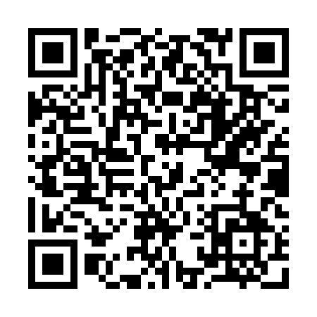 QR code for 919SQ