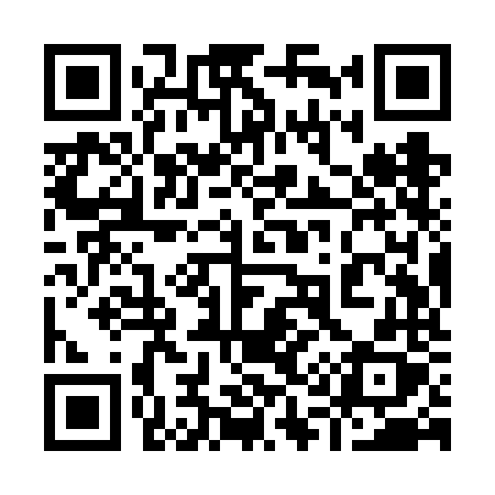 QR code for 919VNX