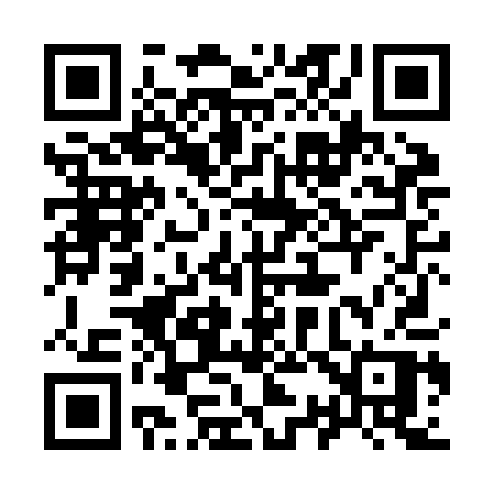 QR code for 938JAP