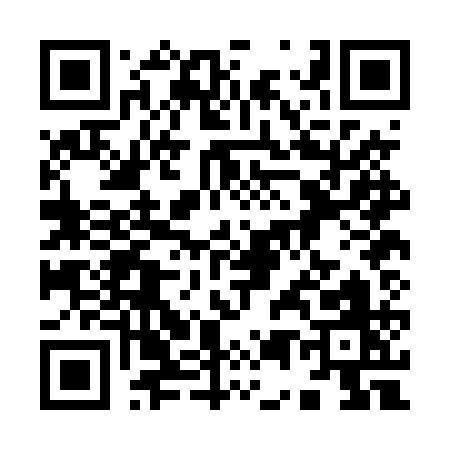 QR code for 950DQ