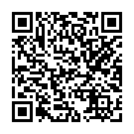 QR code for 950HKS