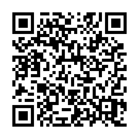 QR code for 950RAW