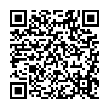 QR code for 951PN