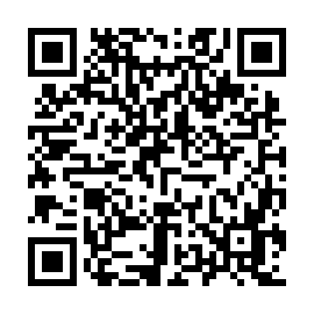 QR code for 953N