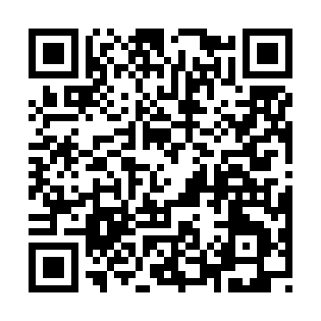 QR code for 953NM