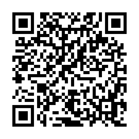 QR code for 953Q
