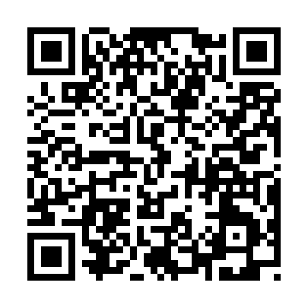 QR code for 953TU