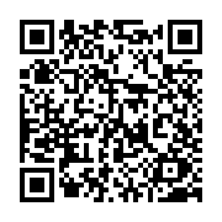 QR code for 953Z