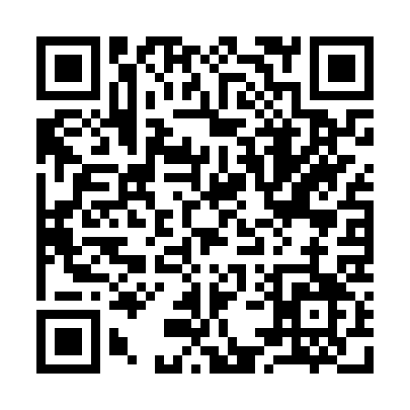 QR code for 954NS