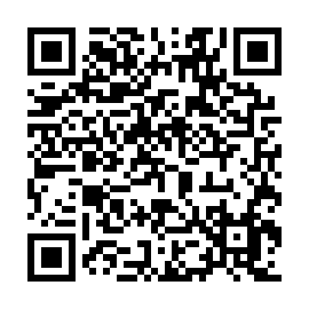 QR code for 955AV