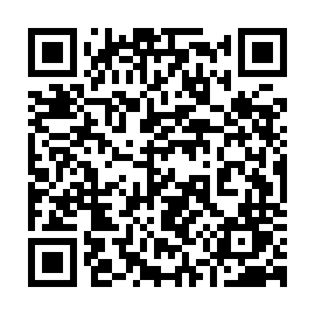 QR code for 955INT